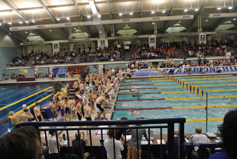 The pool at the University of Minnesota is a sought after venue for swim and dive meets due to its large size and nice atmosphere. Photo/ Talia Zadeh.