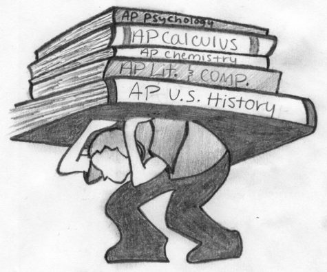 Students gain an APpetite for AP