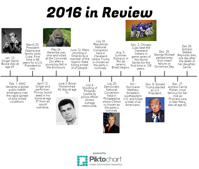 A review of the 2016 year. 