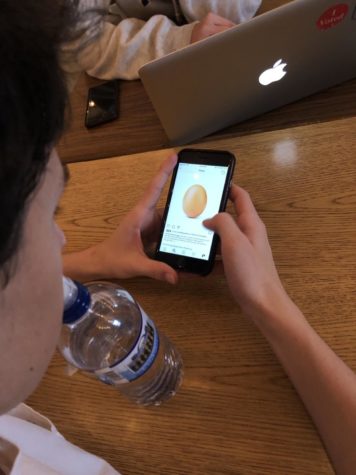 The record breaking egg