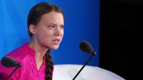 16-year-old Swedish Climate activist Greta Thunberg speaks at the 2019 United Nations Climate Action Summit at U.N. headquarters in New York City, New York, U.S., September 23, 2019. 