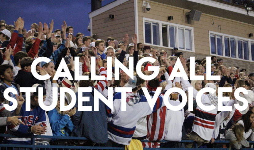 Students at the homecoming football game cheer for the team.