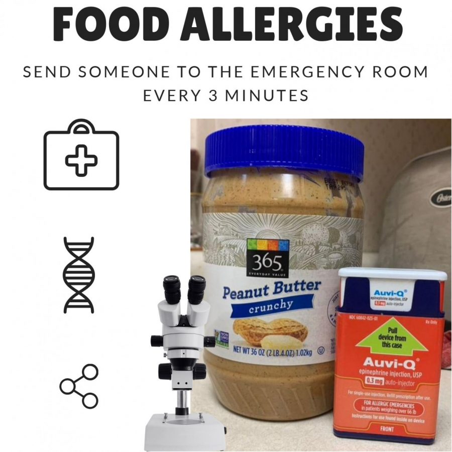 More and more students are experiencing complications with food allergies and the consequences that come with them.