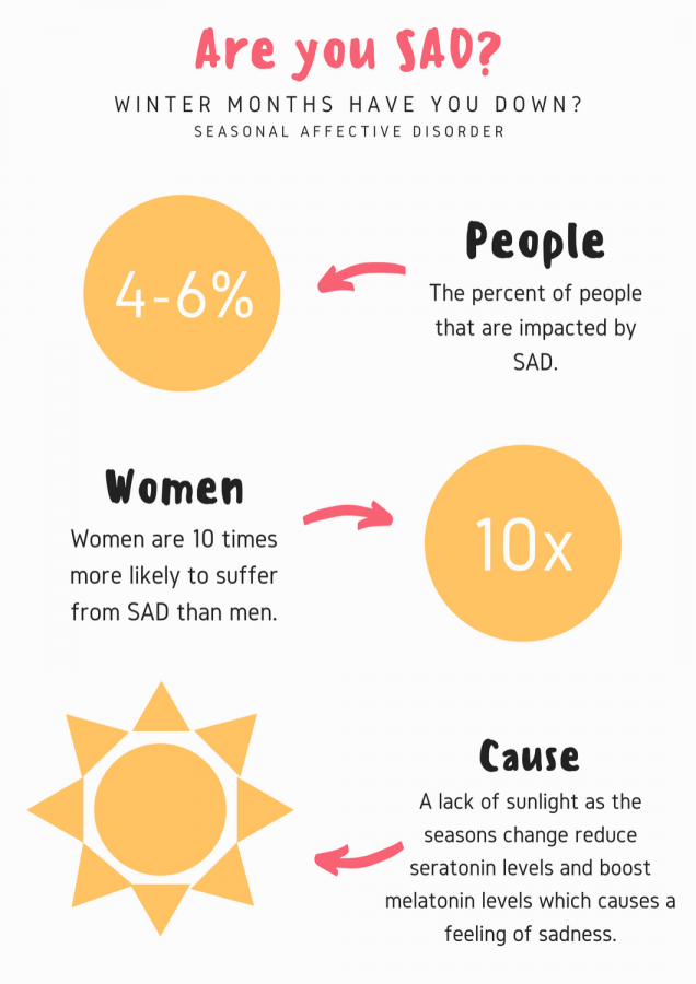 Infographic about SAD and it's cause and impact on people.