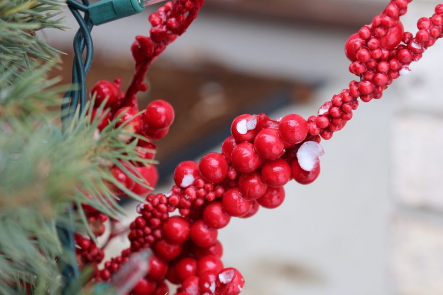 The holidays brought lots of bright decorations to embrace the joyful spirit. This vibrant red colored decoration, attached to a tree, illustrates the love and peace associated with winter holidays.