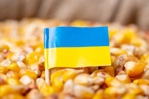 Ukraine is part of the breadbasket of Europe, and the recent conflict has caused concerns about the continents food supply.