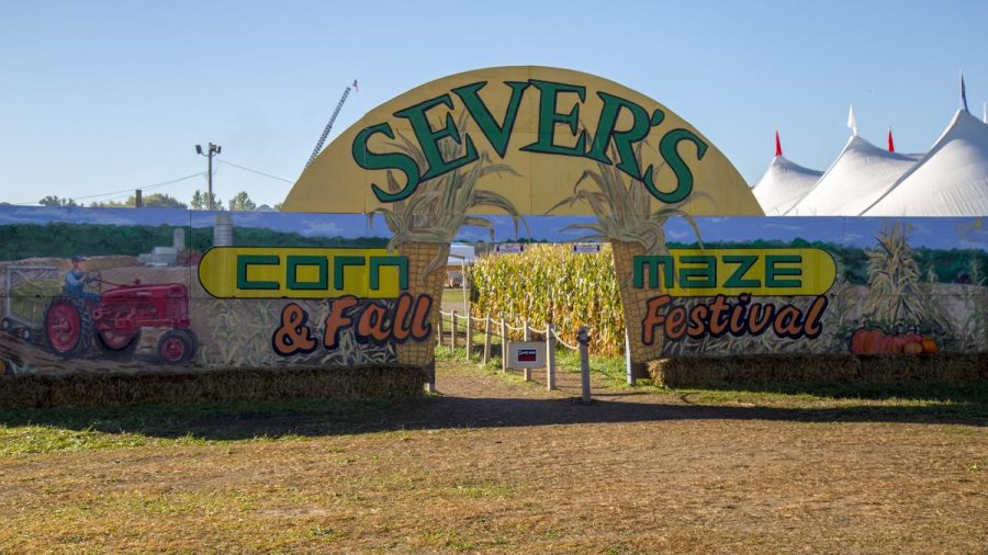Severs+Corn+Maze+and+Fall+Festival