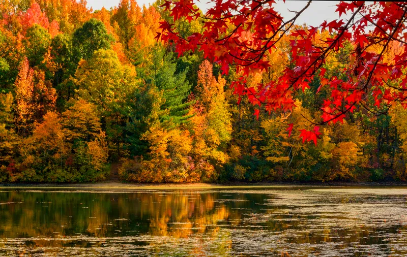 Fall landscape.