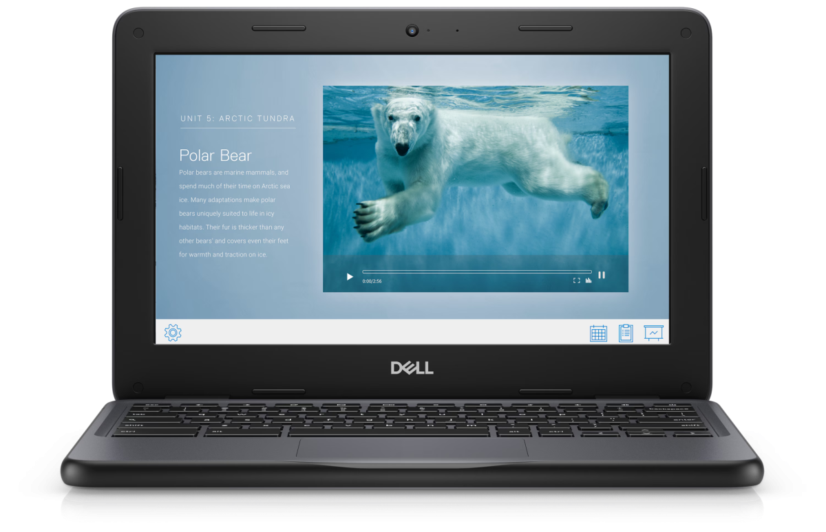 The Dell Chromebook 3100