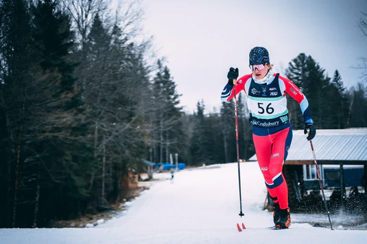 A person Nordic skiing