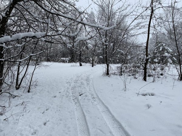 A cold weather advisory has been issued for the Orono area.