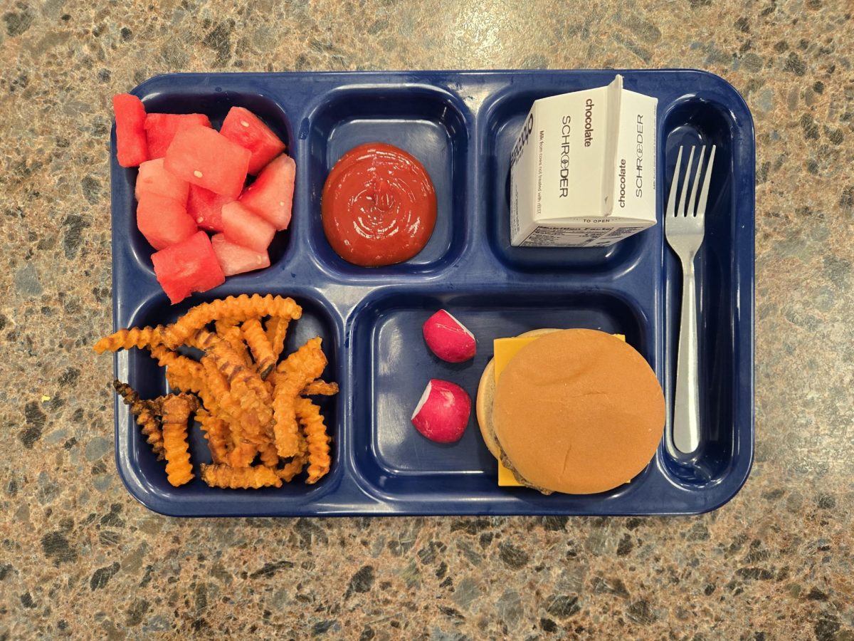 Hamburger on a Bun with Cheddar Cheese and Sweet Potato Fries