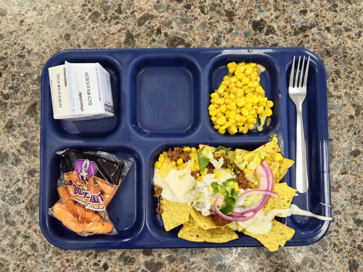 Nachos, Tortilla Chips, and Beef Taco Meat Or Beef Empanada