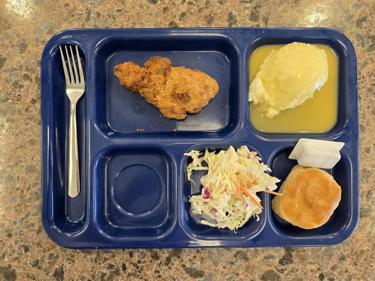 Chicken Drumstick, Mashed Potatoes, Gravy, and a Buttermilk Biscuit