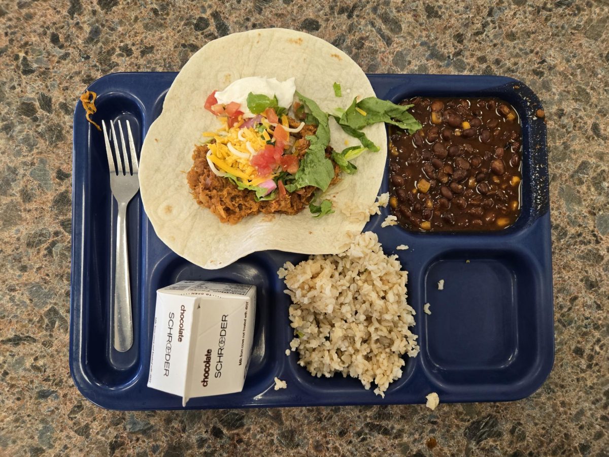Pork Carnitas on a Tortilla With Fiesta Beans