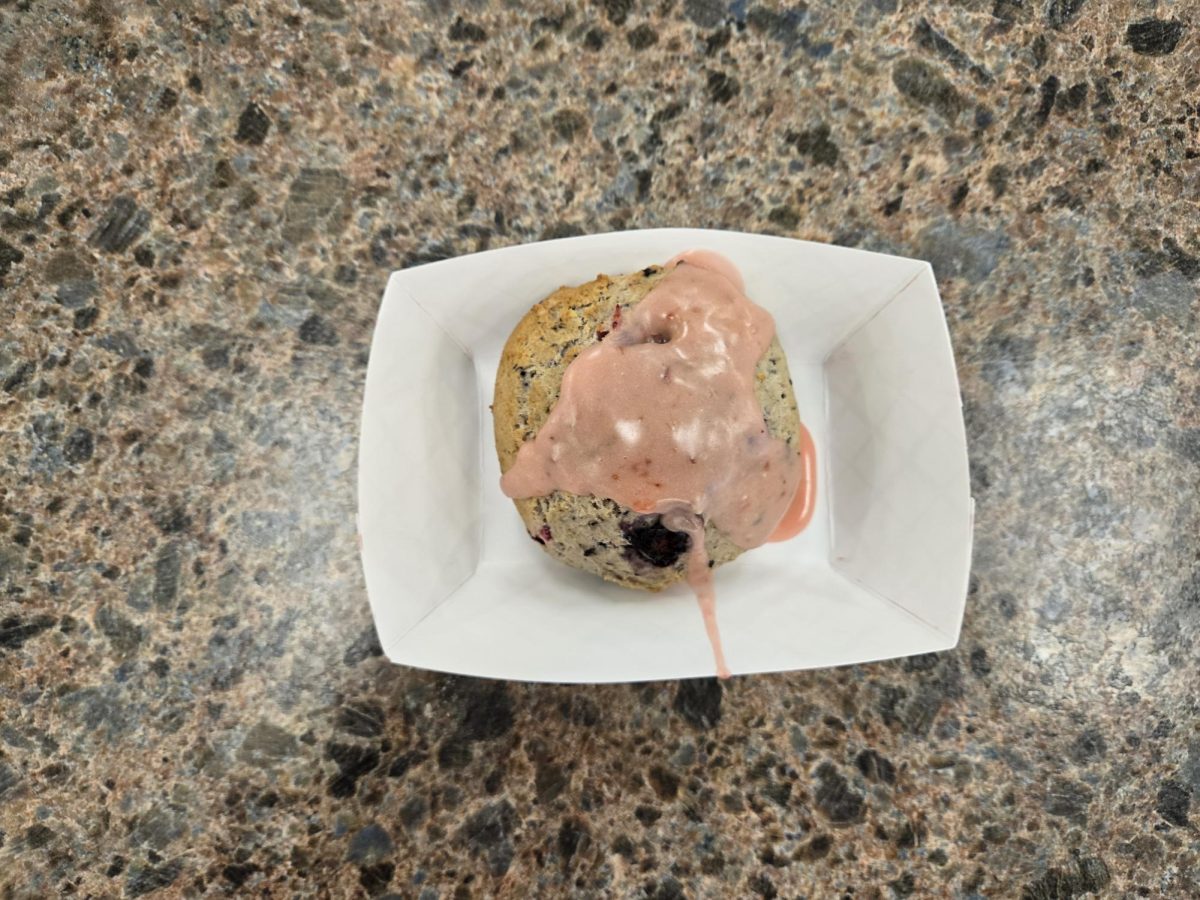 Blueberry Scone