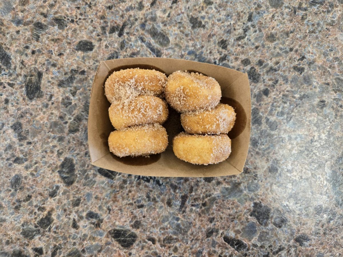 Mini Donuts