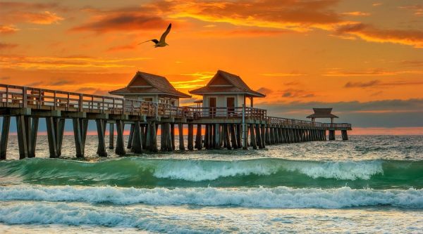 Spring Break 2026 Crossword
