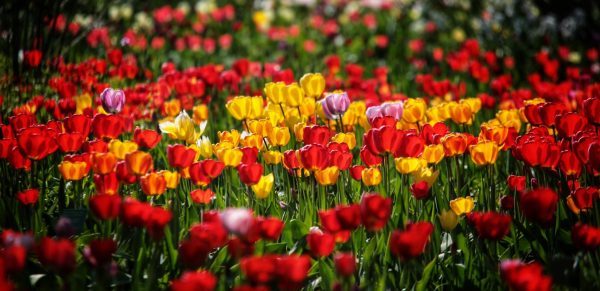 April 2026 Crossword